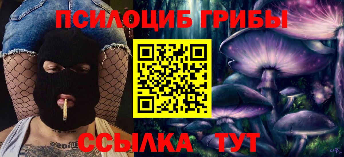 Псилоцибиновые грибы Psilocybine cubensis  Вход с VPN  Всеволожск 