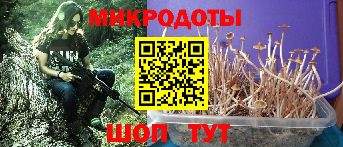 Галлюциногенные грибы мицелий Всеволожск